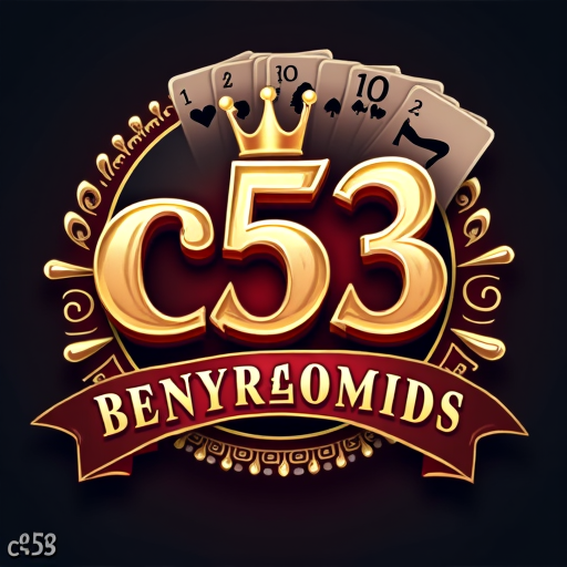 c53